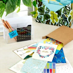 Hallmark Big Celebrations Assorted Cards, Box Of 12 -Hallmark Sales Store Big Celebrations Assorted Cards Bulk Pack 5EDX1073 07