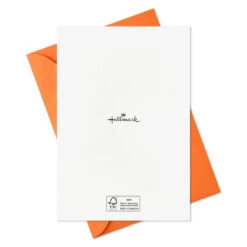 Hallmark Boo To You Boxed Halloween Cards Assortment, Pack Of 36 -Hallmark Sales Store Boo to You Boxed Halloween Cards Assortment 5ELT1011 08