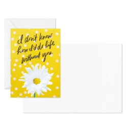 Hallmark Colorful Daisies Boxed Thank-You Notes, Pack Of 50 10 Hallmark Colorful Daisies Boxed Thank-You Notes, Pack Of 50 -Hallmark Sales Store Colorful Daisies Boxed ThankYou Notes 3THK2543 04