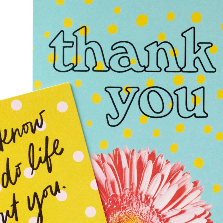 Hallmark Colorful Daisies Boxed Thank-You Notes, Pack Of 50 5 Hallmark Colorful Daisies Boxed Thank-You Notes, Pack Of 50 - Image 5
