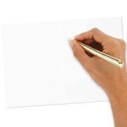 Hallmark Cute Animals Assorted Blank Kids Birthday Cards, Pack Of 48 -Hallmark Sales Store Cute Animals Birthday Cards Assortment Pack 5STZ1032 08