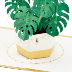 Hallmark Plant In Pot 3D Pop-Up Thinking Of You Card 11 Hallmark Plant In Pot 3D Pop-Up Thinking Of You Card -Hallmark Sales Store Plant in Pot 3D PopUp Thinking of You Card 1299LAD2900 03