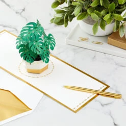 Hallmark Plant In Pot 3D Pop-Up Thinking Of You Card 15 Hallmark Plant In Pot 3D Pop-Up Thinking Of You Card -Hallmark Sales Store Plant in Pot 3D PopUp Thinking of You Card 1299LAD2900 07