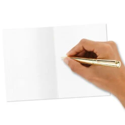 Hallmark Primary Colors Assorted Blank Thank-You Notes, Pack Of 48 -Hallmark Sales Store Primary Colors Blank ThankYou Notes Assortment Pack 5STZ1057 06