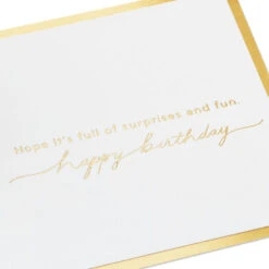 Hallmark It's Your Day Puppy In Present 3D Pop-Up Birthday Card -Hallmark Sales Store Puppy in a Present 3D PopUp Birthday Card 1299LAD2883 03